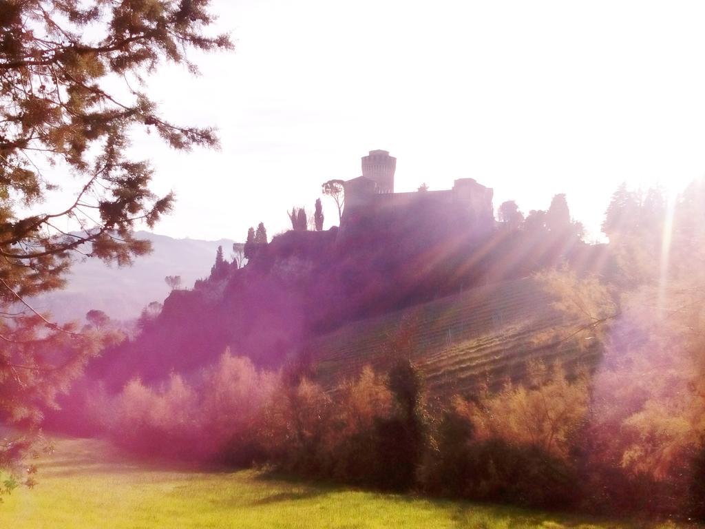 Antico Casale Dei Sogni Agriturismo Lugo  Exterior photo