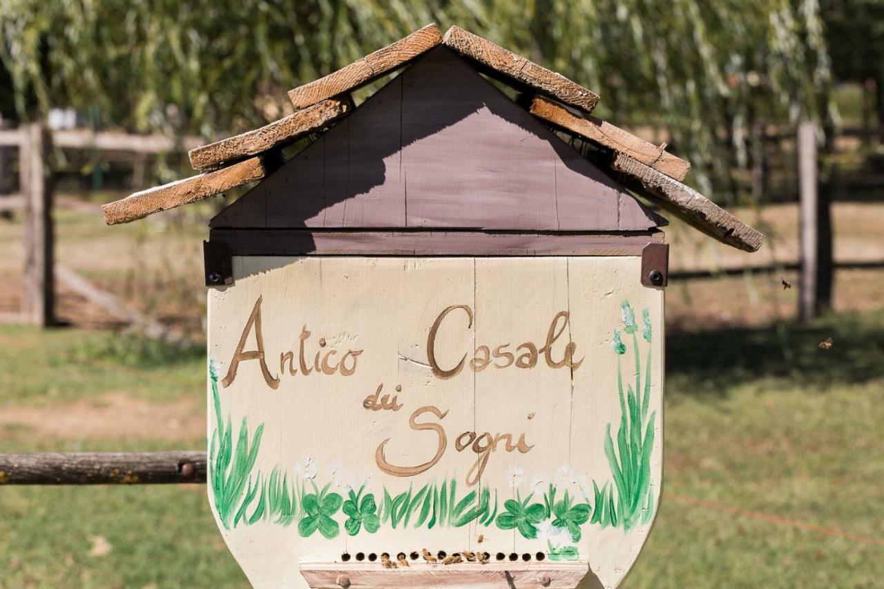 Antico Casale Dei Sogni Agriturismo Lugo  Exterior photo